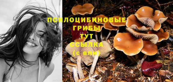 а пвп мука Арсеньев
