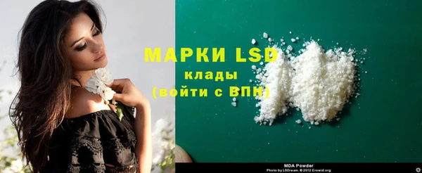 амф Аркадак