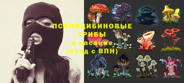 а пвп мука Арсеньев