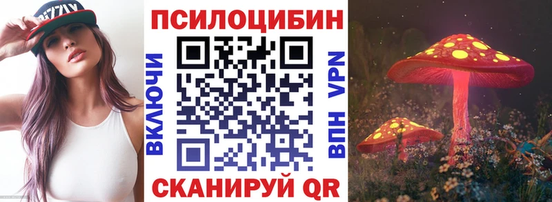 где купить наркотик  Пролетарск  blacksprut как войти  Псилоцибиновые грибы мухоморы 